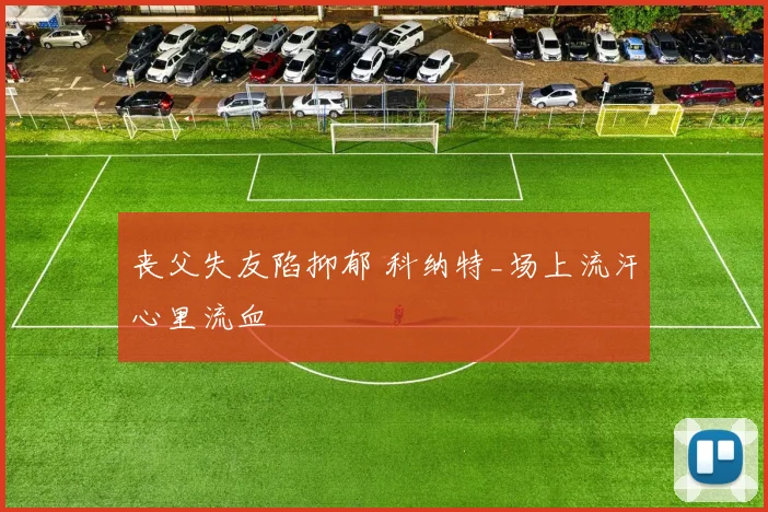 丧父失友陷抑郁 科纳特_场上流汗心里流血