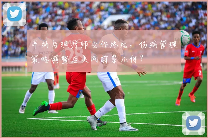 辛纳与理疗师合作终结，伤病管理策略调整后美网前景几何？